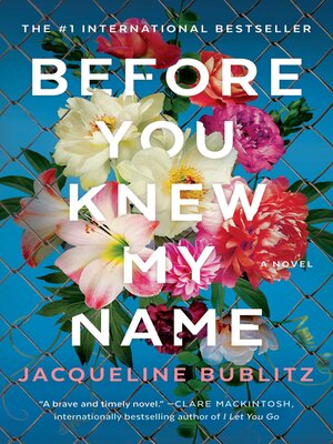cover image of Before You Knew My Name: a Novel